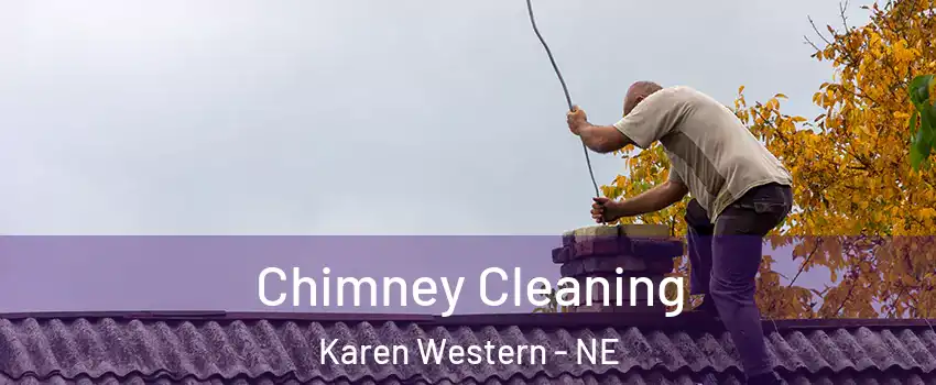 Chimney Cleaning Karen Western - NE