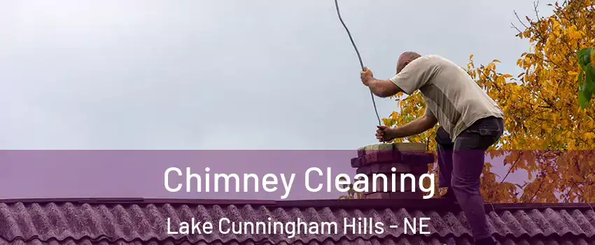 Chimney Cleaning Lake Cunningham Hills - NE