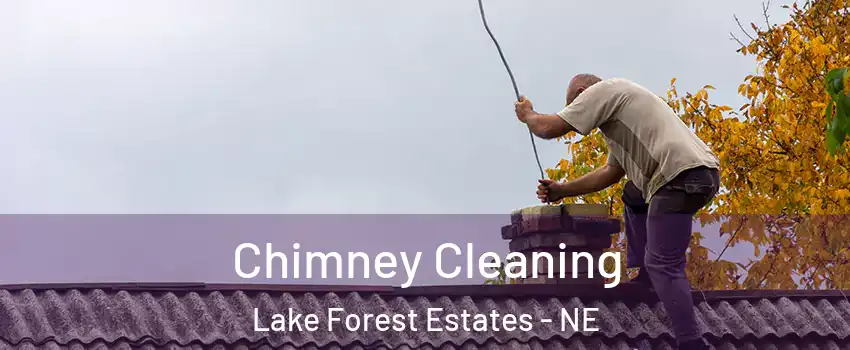 Chimney Cleaning Lake Forest Estates - NE