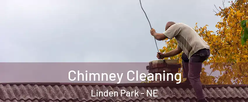 Chimney Cleaning Linden Park - NE