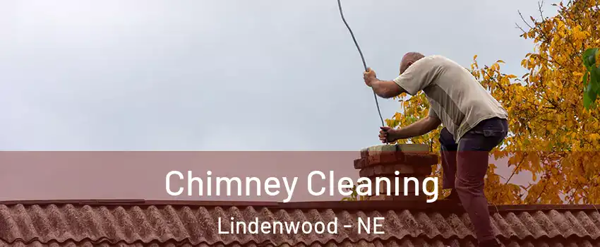 Chimney Cleaning Lindenwood - NE