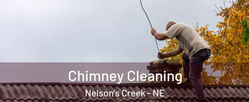 Chimney Cleaning Nelson's Creek - NE