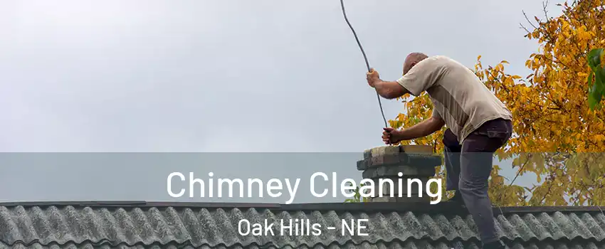 Chimney Cleaning Oak Hills - NE