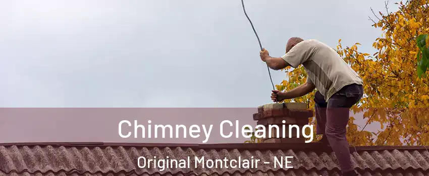 Chimney Cleaning Original Montclair - NE