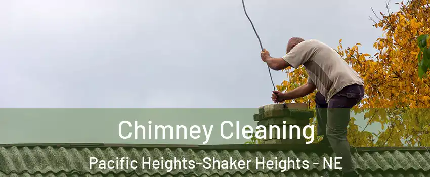 Chimney Cleaning Pacific Heights-Shaker Heights - NE