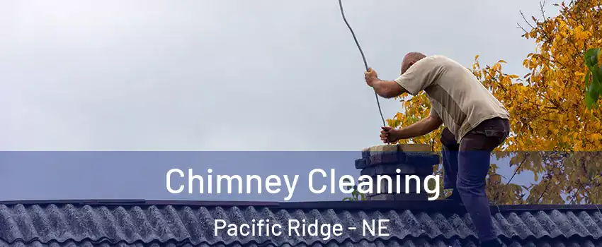 Chimney Cleaning Pacific Ridge - NE