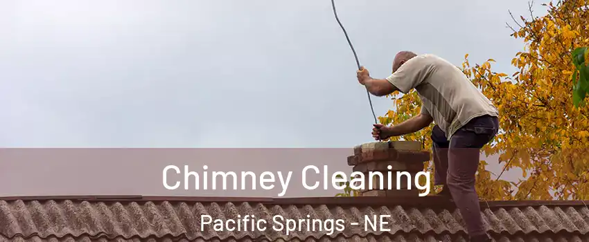 Chimney Cleaning Pacific Springs - NE