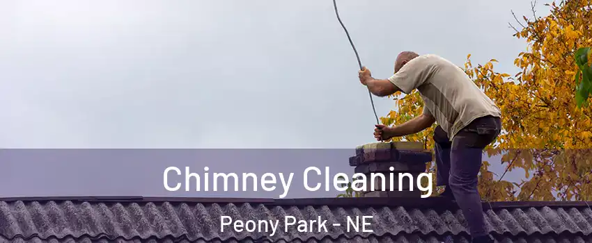 Chimney Cleaning Peony Park - NE