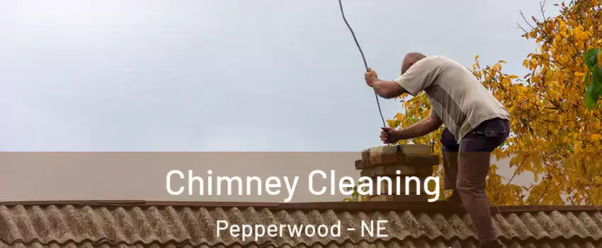 Chimney Cleaning Pepperwood - NE