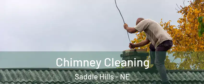 Chimney Cleaning Saddle Hills - NE
