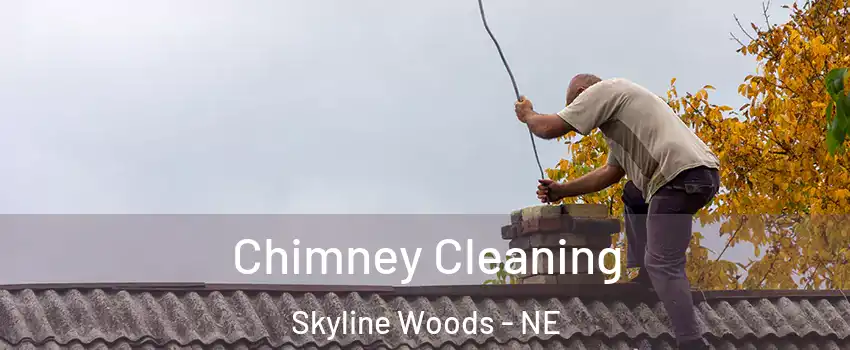 Chimney Cleaning Skyline Woods - NE
