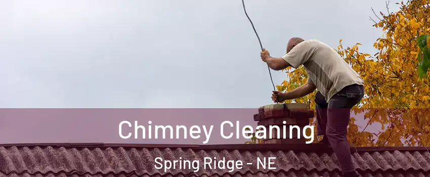 Chimney Cleaning Spring Ridge - NE