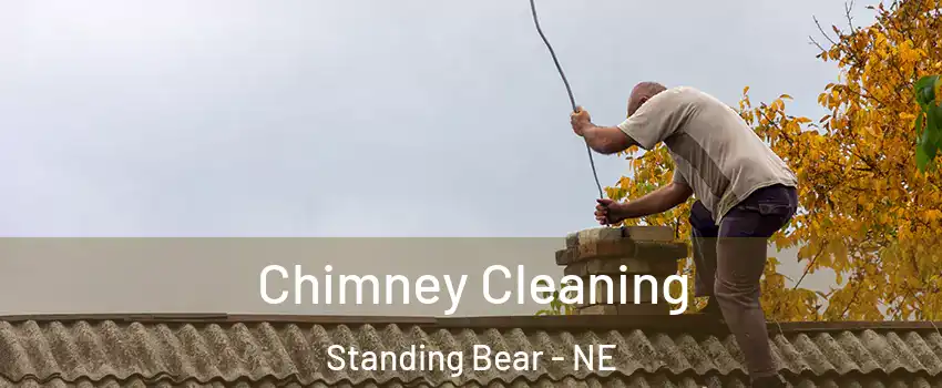 Chimney Cleaning Standing Bear - NE