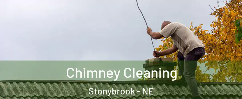 Chimney Cleaning Stonybrook - NE