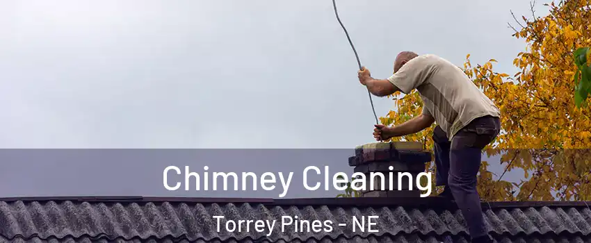 Chimney Cleaning Torrey Pines - NE