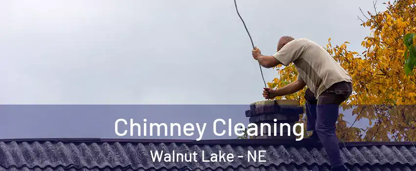 Chimney Cleaning Walnut Lake - NE