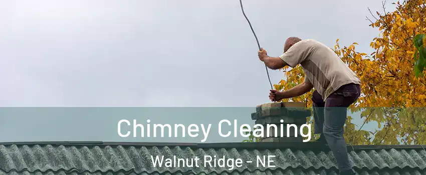 Chimney Cleaning Walnut Ridge - NE