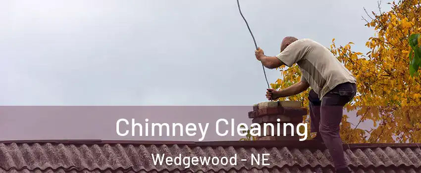 Chimney Cleaning Wedgewood - NE