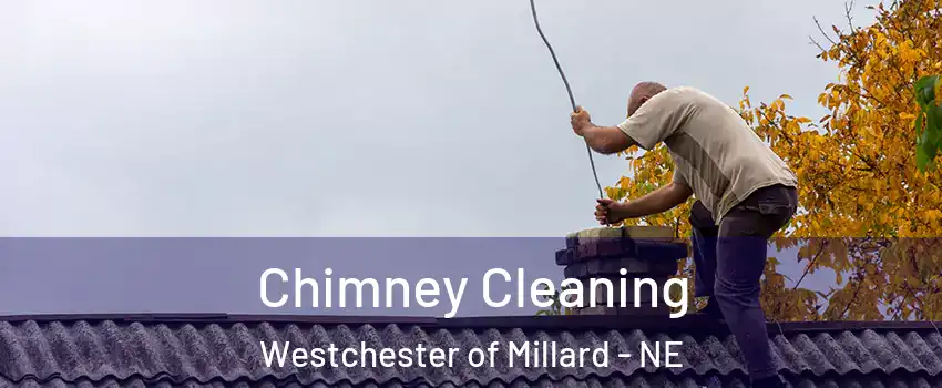 Chimney Cleaning Westchester of Millard - NE