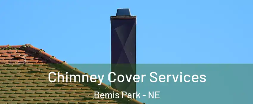 Chimney Cover Services Bemis Park - NE
