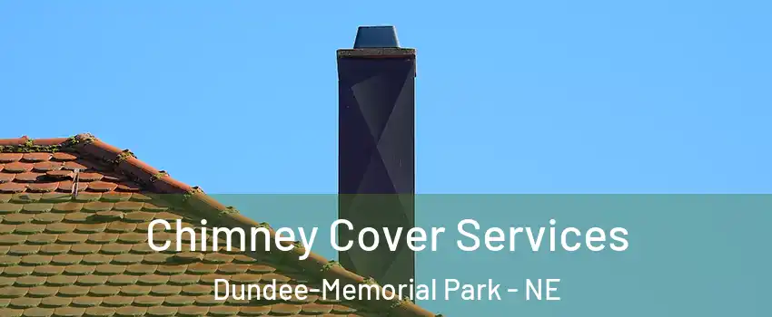 Chimney Cover Services Dundee-Memorial Park - NE