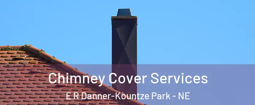 Chimney Cover Services E R Danner-Kountze Park - NE