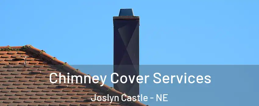 Chimney Cover Services Joslyn Castle - NE