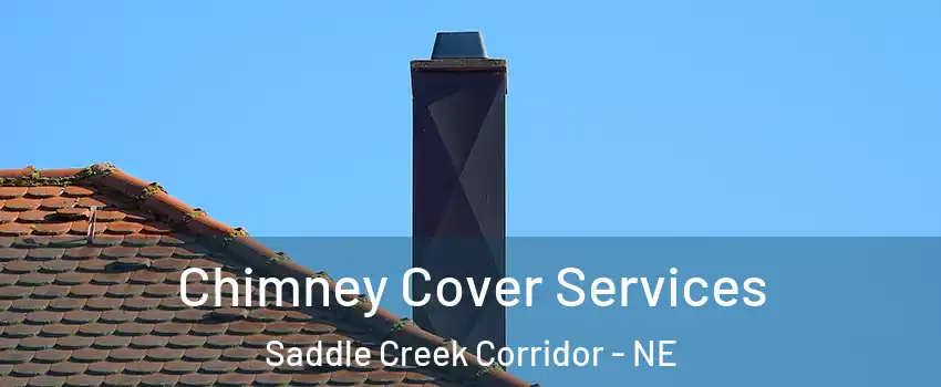 Chimney Cover Services Saddle Creek Corridor - NE