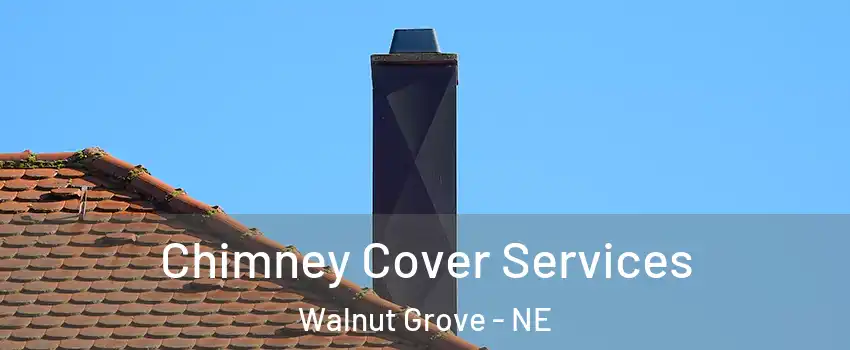 Chimney Cover Services Walnut Grove - NE