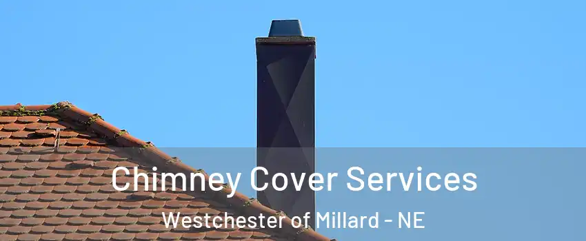 Chimney Cover Services Westchester of Millard - NE