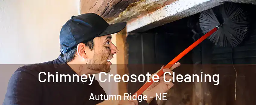 Chimney Creosote Cleaning Autumn Ridge - NE