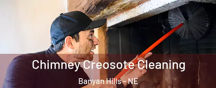 Chimney Creosote Cleaning Banyan Hills - NE