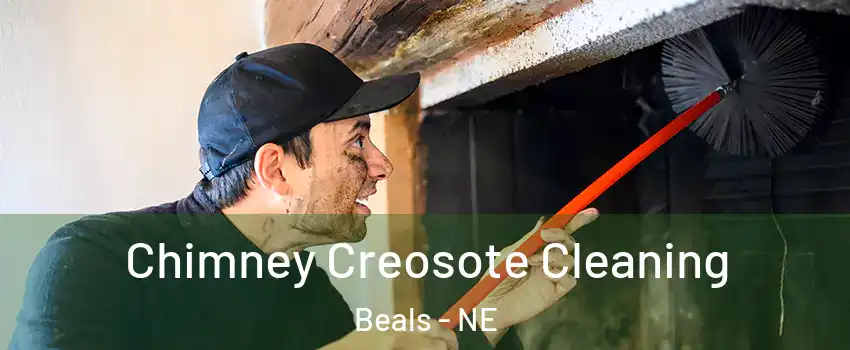 Chimney Creosote Cleaning Beals - NE