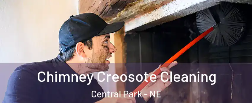Chimney Creosote Cleaning Central Park - NE