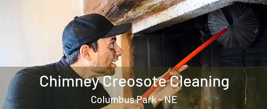 Chimney Creosote Cleaning Columbus Park - NE