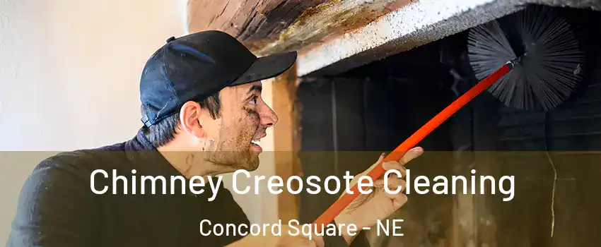 Chimney Creosote Cleaning Concord Square - NE