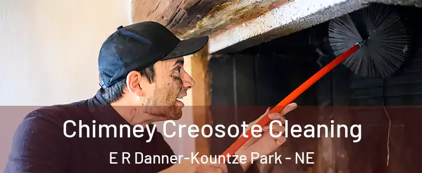 Chimney Creosote Cleaning E R Danner-Kountze Park - NE