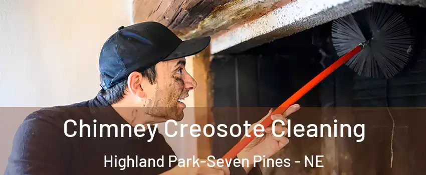 Chimney Creosote Cleaning Highland Park-Seven Pines - NE