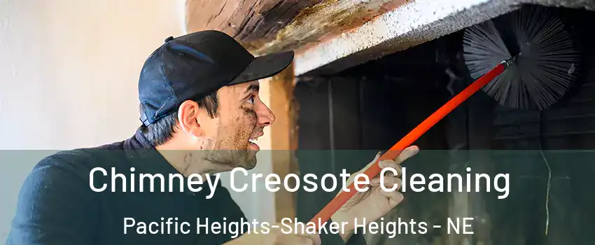 Chimney Creosote Cleaning Pacific Heights-Shaker Heights - NE