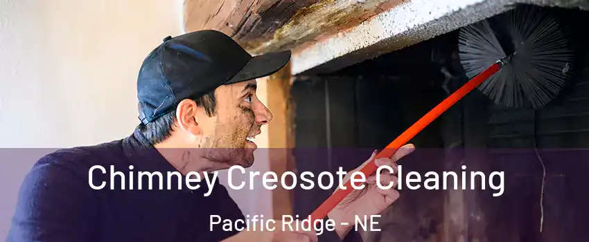 Chimney Creosote Cleaning Pacific Ridge - NE