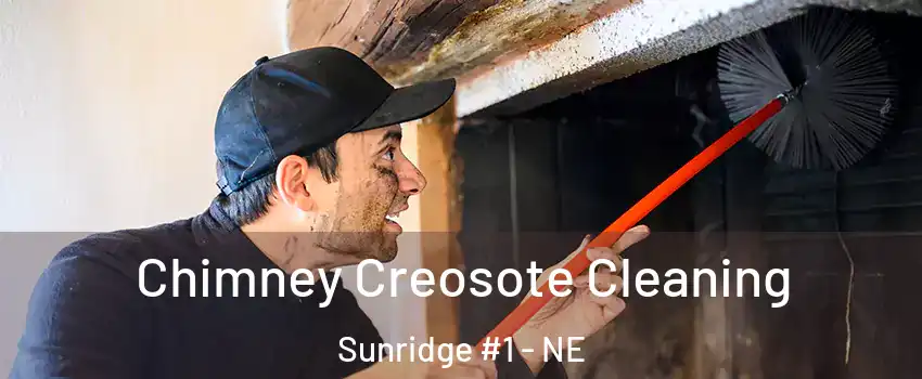 Chimney Creosote Cleaning Sunridge #1 - NE