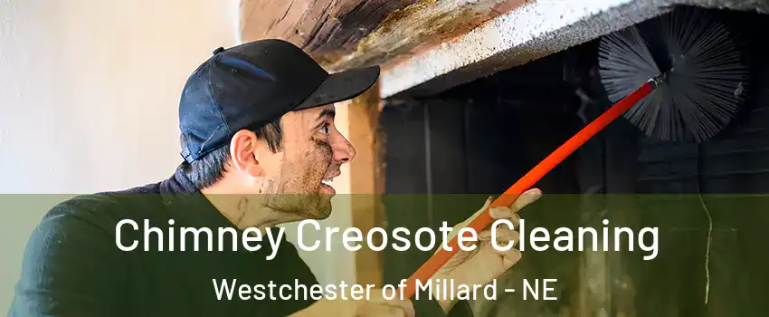 Chimney Creosote Cleaning Westchester of Millard - NE