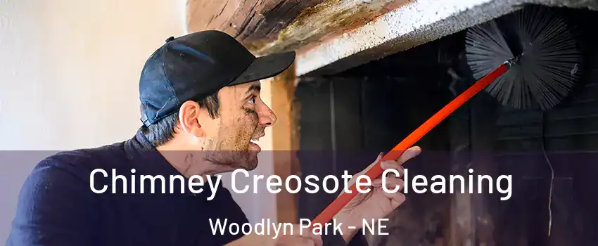 Chimney Creosote Cleaning Woodlyn Park - NE