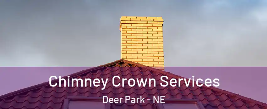 Chimney Crown Services Deer Park - NE