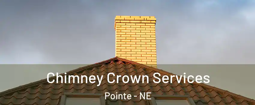 Chimney Crown Services Pointe - NE