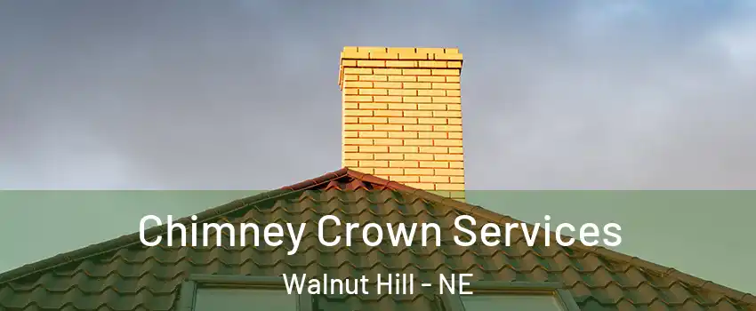 Chimney Crown Services Walnut Hill - NE