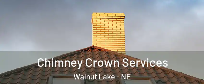 Chimney Crown Services Walnut Lake - NE