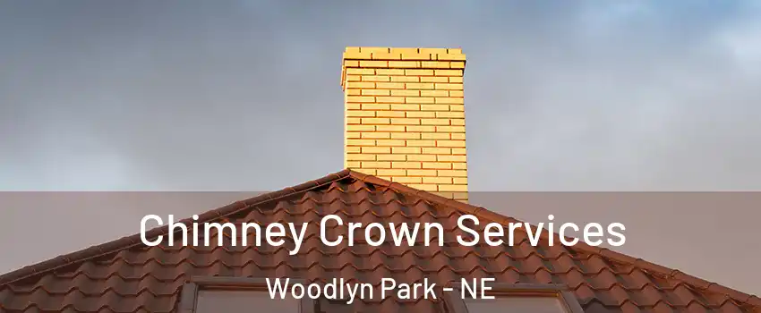 Chimney Crown Services Woodlyn Park - NE