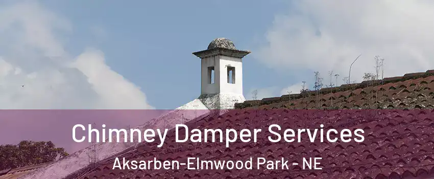Chimney Damper Services Aksarben-Elmwood Park - NE