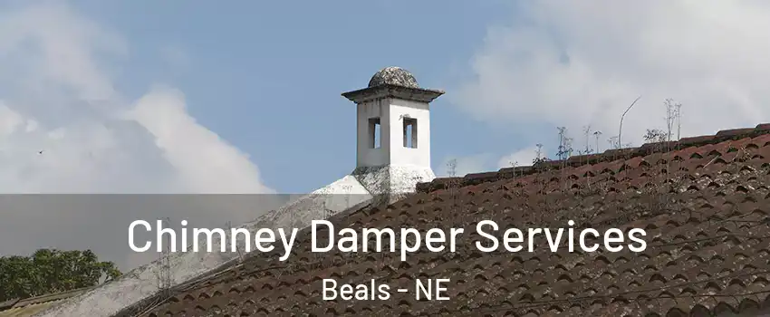 Chimney Damper Services Beals - NE